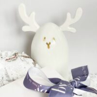Le renne de NOël